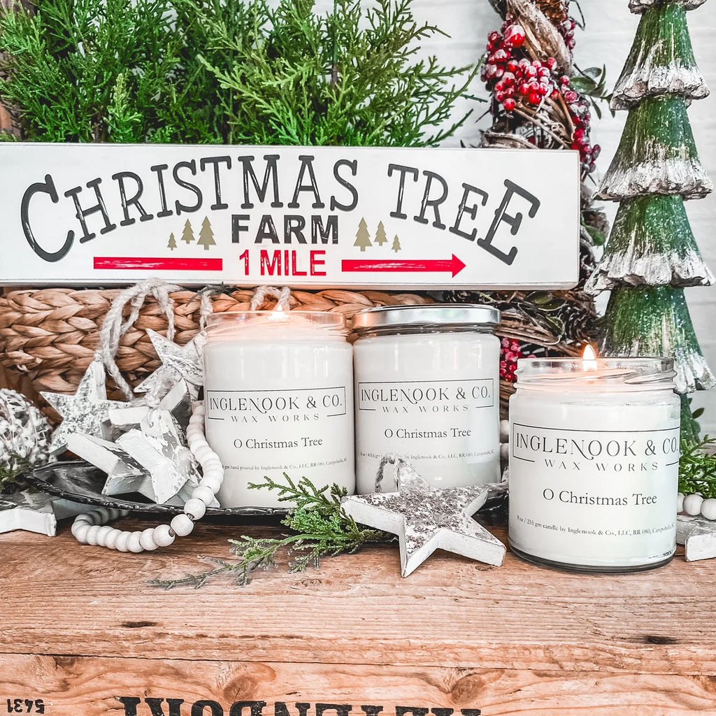 The Perfect Christmas Gift