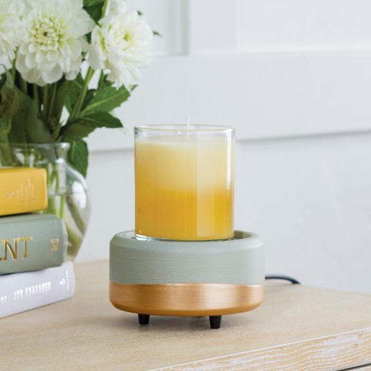 https://inglenookandco.com/cdn/shop/files/CWDMID_8ozCandle_2019_LR__07242.1641841472.1280.1280-536x536_1600x.jpg?v=1701652055